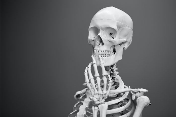 photography of skeleton