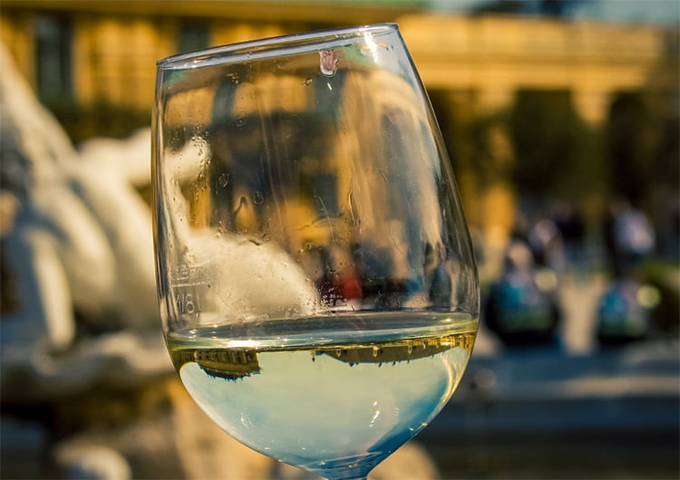 Wine Glass with white wine