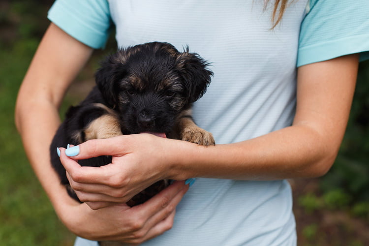 Frau haltet Hund