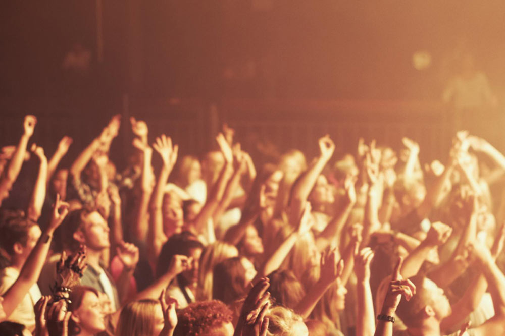 Crowd in Concert